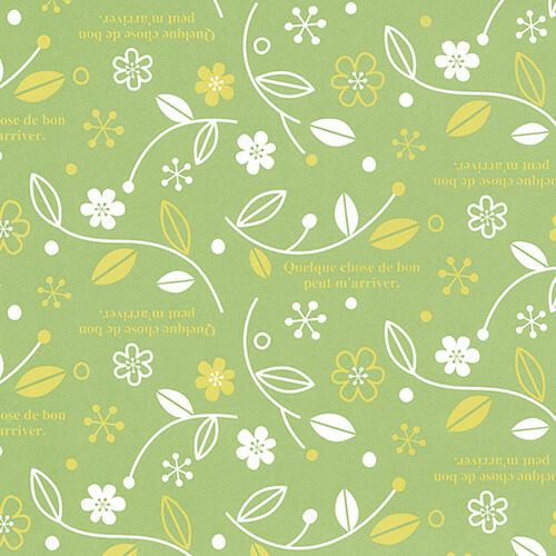 包装紙 半才 エスペランス ＬＧ画像