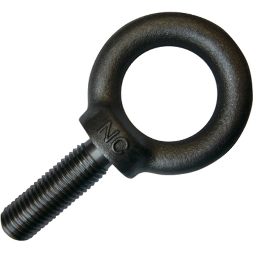 NANIWA ｱｲﾎﾞﾙﾄ 生地 M16×50 1個画像