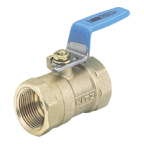 廉価ﾀｲﾌﾟｴｺﾎﾞｰﾙﾊﾞﾙﾌﾞ #1 1個画像