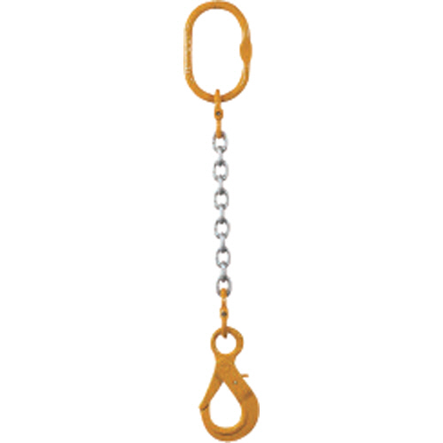 ﾁｪｰﾝｽﾛﾝｸﾞ100(ｱｲﾀｲﾌﾟ) 1本画像