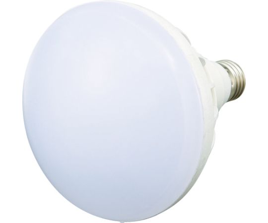 LED投光器用　20W　LED球画像