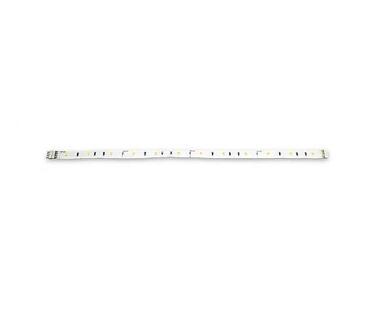 DC12V/200mA 照明灯/LED(白色)画像