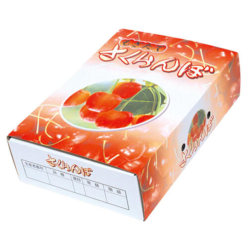 さくらんぼ５００ｇ×２Ｐもぎたて画像