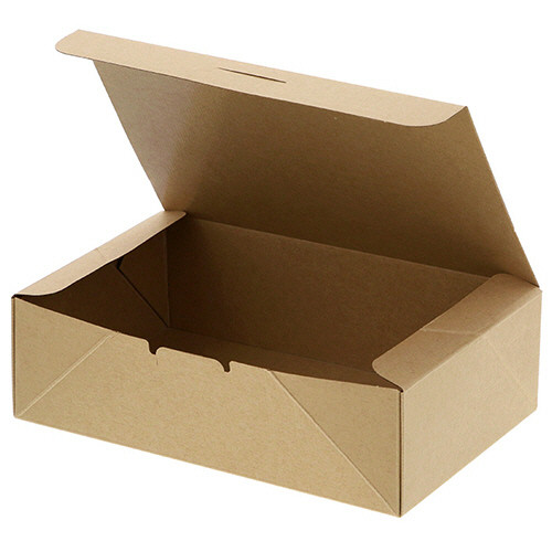 食品容器 ﾈｵｸﾗﾌﾄ ｺﾝﾊﾟｸﾄﾎﾞｯｸｽ L 1ｾｯﾄ(200枚:20枚×10ﾊﾟｯｸ)画像