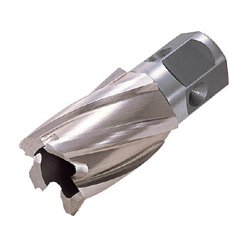 ﾊｲﾌﾞﾛｰﾁ(ﾜﾝﾀｯﾁﾀｲﾌﾟ) 刃径22.5mm 1本画像