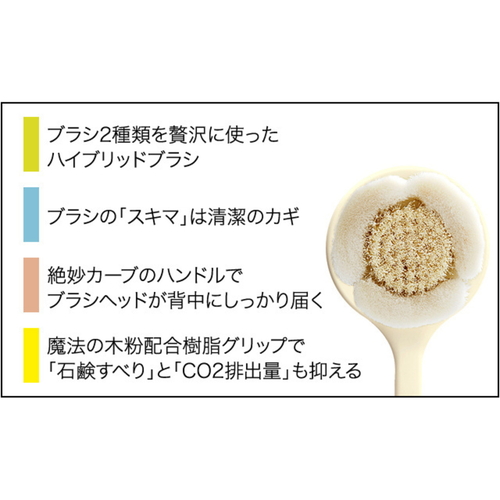 ボディブラシ　ボディケアブラシ　モカグレージュ ブラシの毛が柔らかく、持ち手が見える横向きのディテール