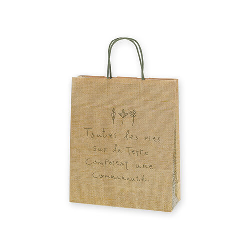 手提げ紙袋（ナテュール・丸紐・幅260×マチ100×高さ310mm）画像