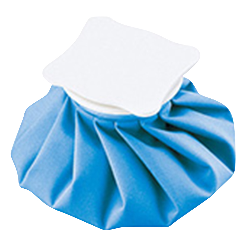 ナビアイスバッグ　ブルー　S画像