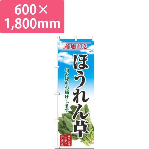ほうれん草青空明画像