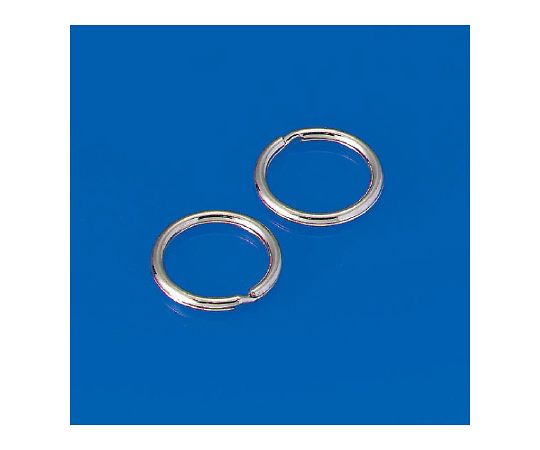 キーリング大　10個1組画像