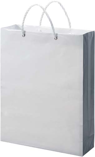 白無地ビニールカバーバッグ　大　１０枚×５画像