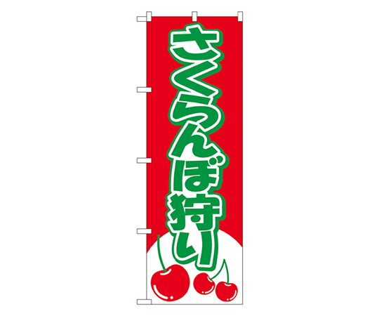 さくらんぼ狩り のぼり画像
