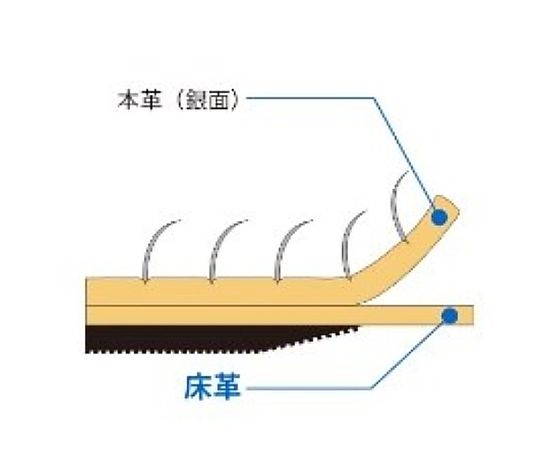 [M] 220mm 手袋(牛床革) つややかな質感の革が使用された手袋の側面