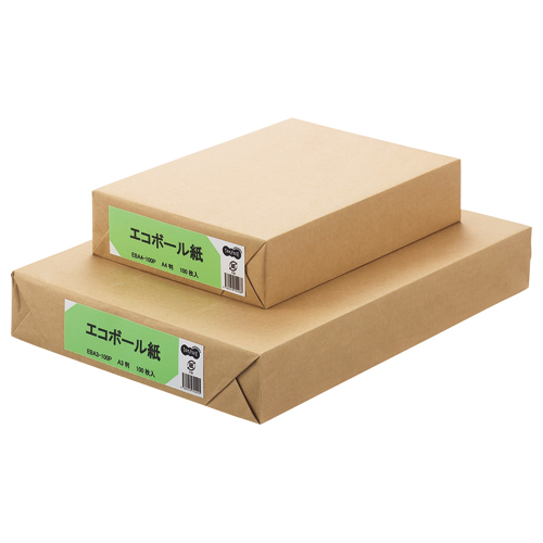 ｴｺﾎﾞｰﾙ紙 A4 450g/m2 1ﾊﾟｯｸ(100枚)画像