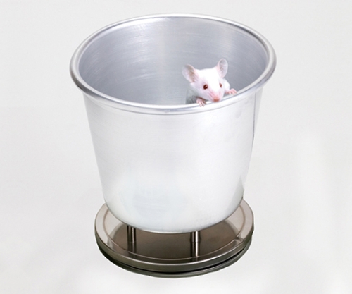 FZ/FX-i用動物計量皿画像