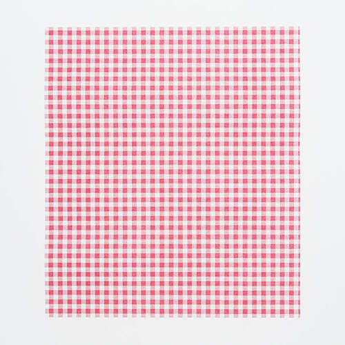 ＷＡＸペーパー ２１．８－２５ ギンガム赤 １００枚画像