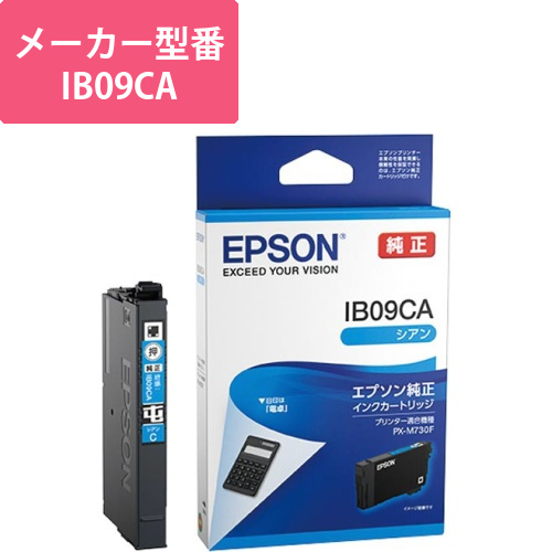 純正インクカートリッジ　IB09CA　シアン画像