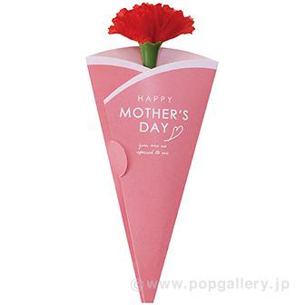 母の日カーネーション（メッセージカード付）画像