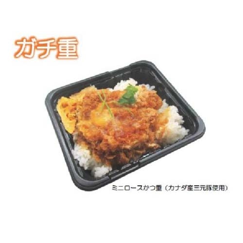 中央化学 どんぶり容器 CT ガチ重 IK 18-13 R-BS 本体 透明な容器に盛られた鮮やかな色合いの食品