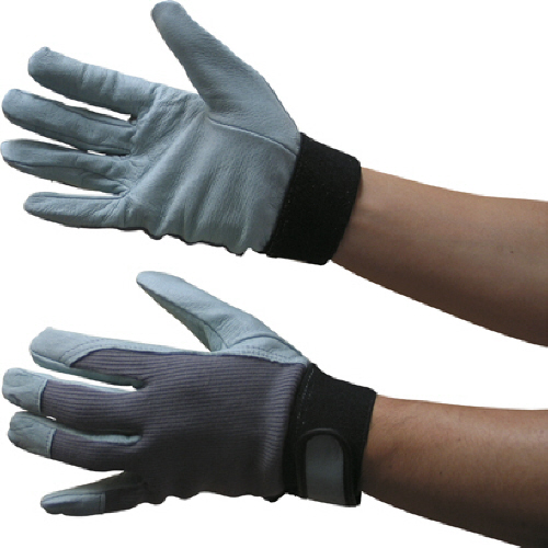 ﾎｰｹﾝ ｼﾞｰﾎﾞｳｽﾞ 1双画像