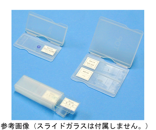プレパラートケース（2枚用）画像