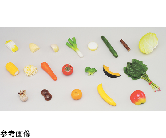 学校給食指導用・食品モデル（食材） 白菜 40g （磁石付）画像