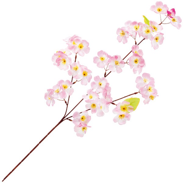 桜スプレー3本枝画像