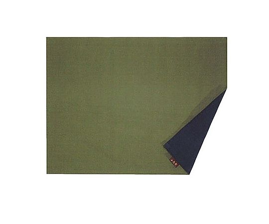 トラッドカラー ランチョンマット 利休(5枚組)画像