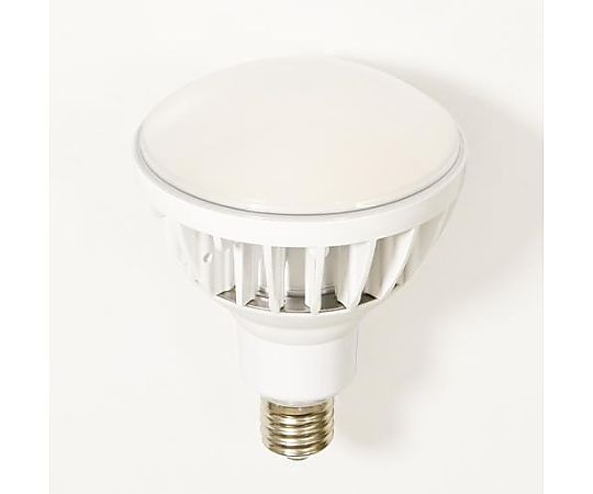AC100V/  50W 電球(白)画像