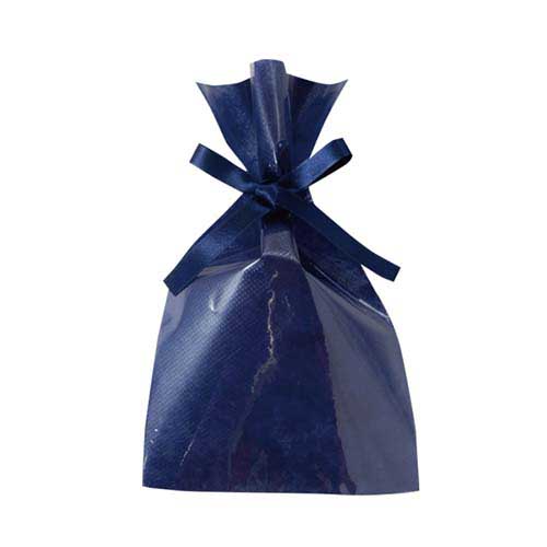 ソフトバッグクリア 2穴リボン巾着 S2 紺画像