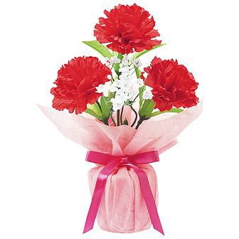 ニューカーネーションラッピングポット画像