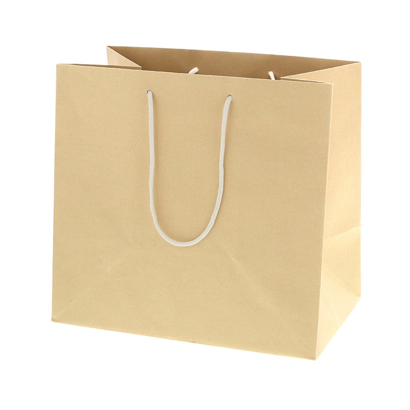 バンブーペーパーバッグ　３２－２０画像