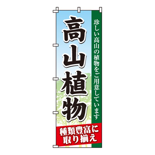 高山植物画像