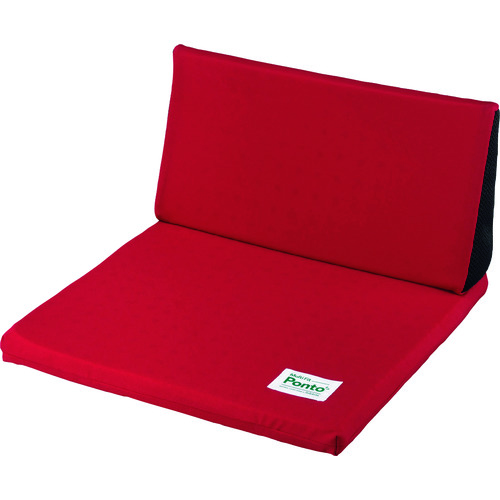 ＳＯＦＴ９９　ボディドクター　マルチフィット　ポント　ダークレッド画像