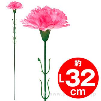 ピンクカーネーション(中)画像