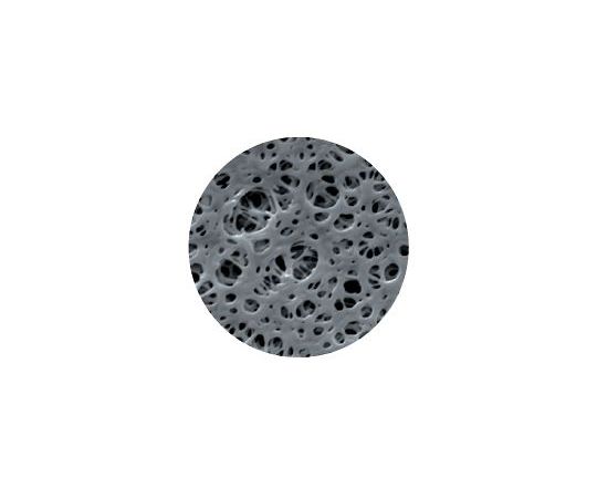 メンブレン ディスク 直径Φ47mm PES 1.2μm 1箱（100枚入）画像