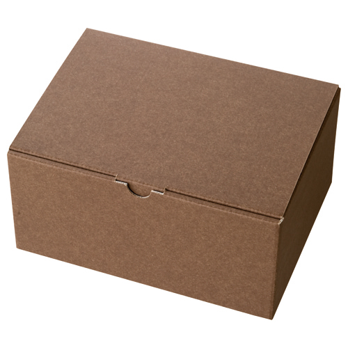 無地ﾌﾞﾗｳﾝｷﾞﾌﾄﾎﾞｯｸｽ-3 W223×D170×H110mm 1ﾊﾟｯｸ(10枚)画像