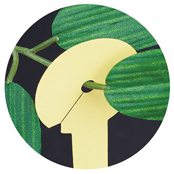 七夕 わくわく短冊 こより一体型画像