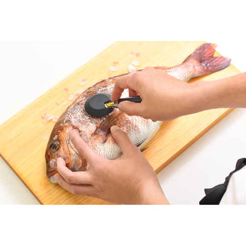 ウロコ取り　大人の焼魚　鱗とり 透明なパッケージに盛り付けられた、鮮やかな色合いの鱗取りが目を引く状態