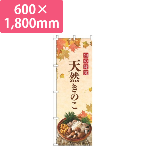 天然きのこオレンジ画像