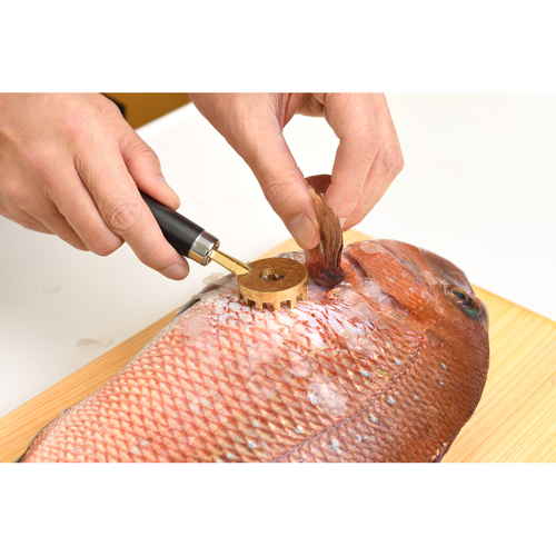 ウロコ取り　大人の焼魚　鱗とり 透明なケースに包装された、光沢のある金属製のツールが並んでいる様子