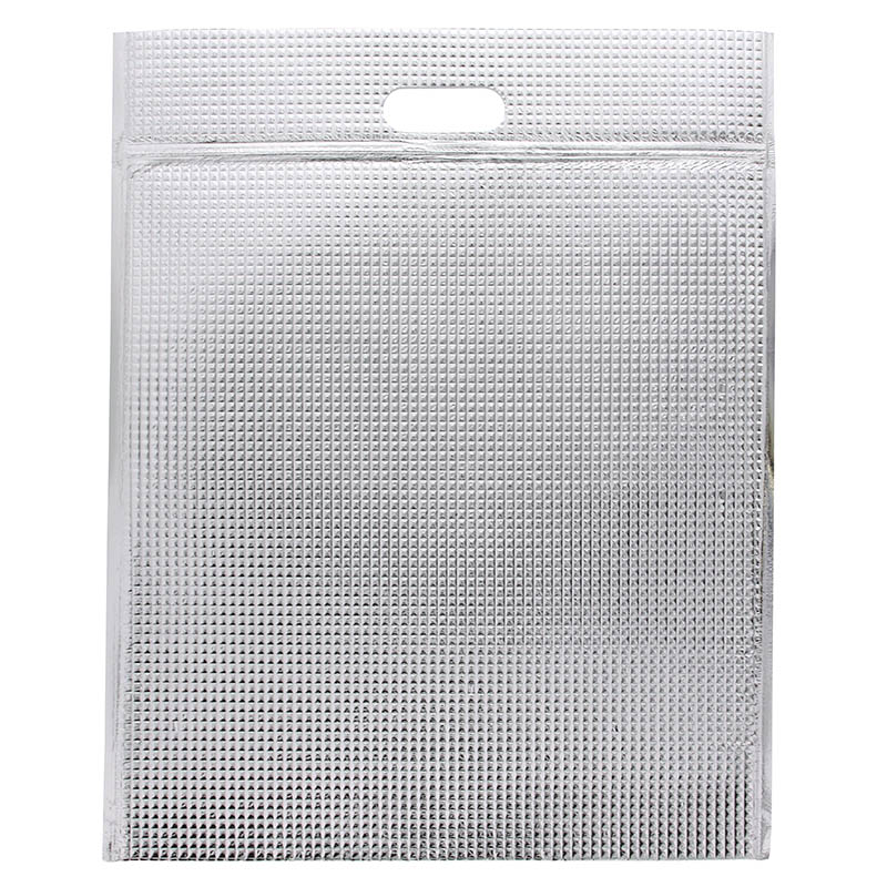 保冷平袋（ジップ付き）　ＬＬ　１０Ｐ画像