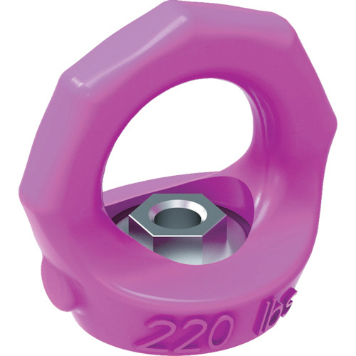 ｱｲﾅｯﾄｽﾀｰ 1個画像