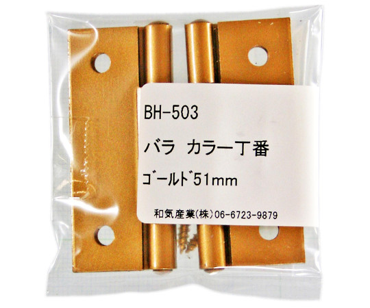 カラー丁番　51mm　ゴールド　2個入 光沢のあるゴールドの丁番が並ぶ様子、背面の取り付け穴が見える状態