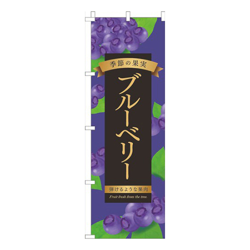 ブルーベリー紫画像