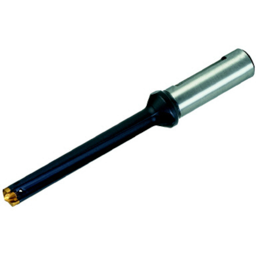 X ｶﾑﾄﾞﾘﾙ/ﾎﾙﾀﾞ 1本画像