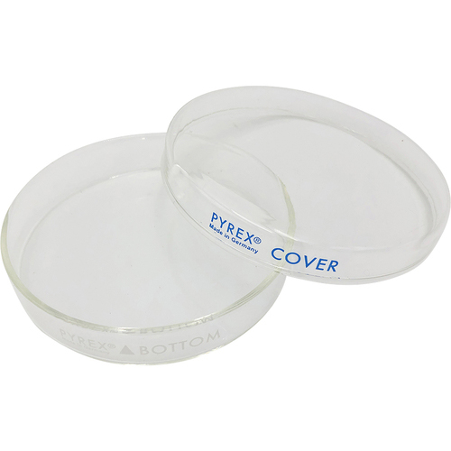 ﾍﾟﾄﾘ皿3160-101 1個画像