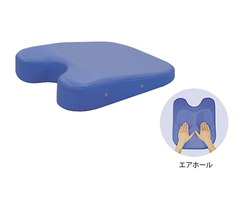ケアーバスト(エアホール有り) 幅42×奥行50×高さ3/11cm 黒画像