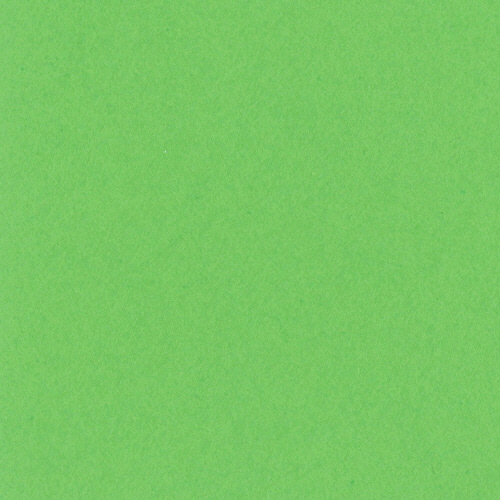 ﾆｭｰｶﾗｰR 八つ切 こいきみどり 1ﾊﾟｯｸ(100枚)画像