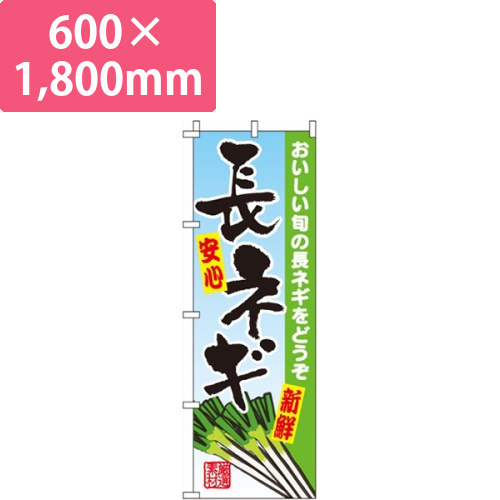 長ネギ画像